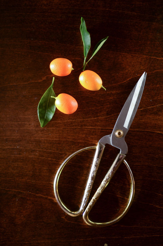 edible-arrangement6 edible-arrangement6